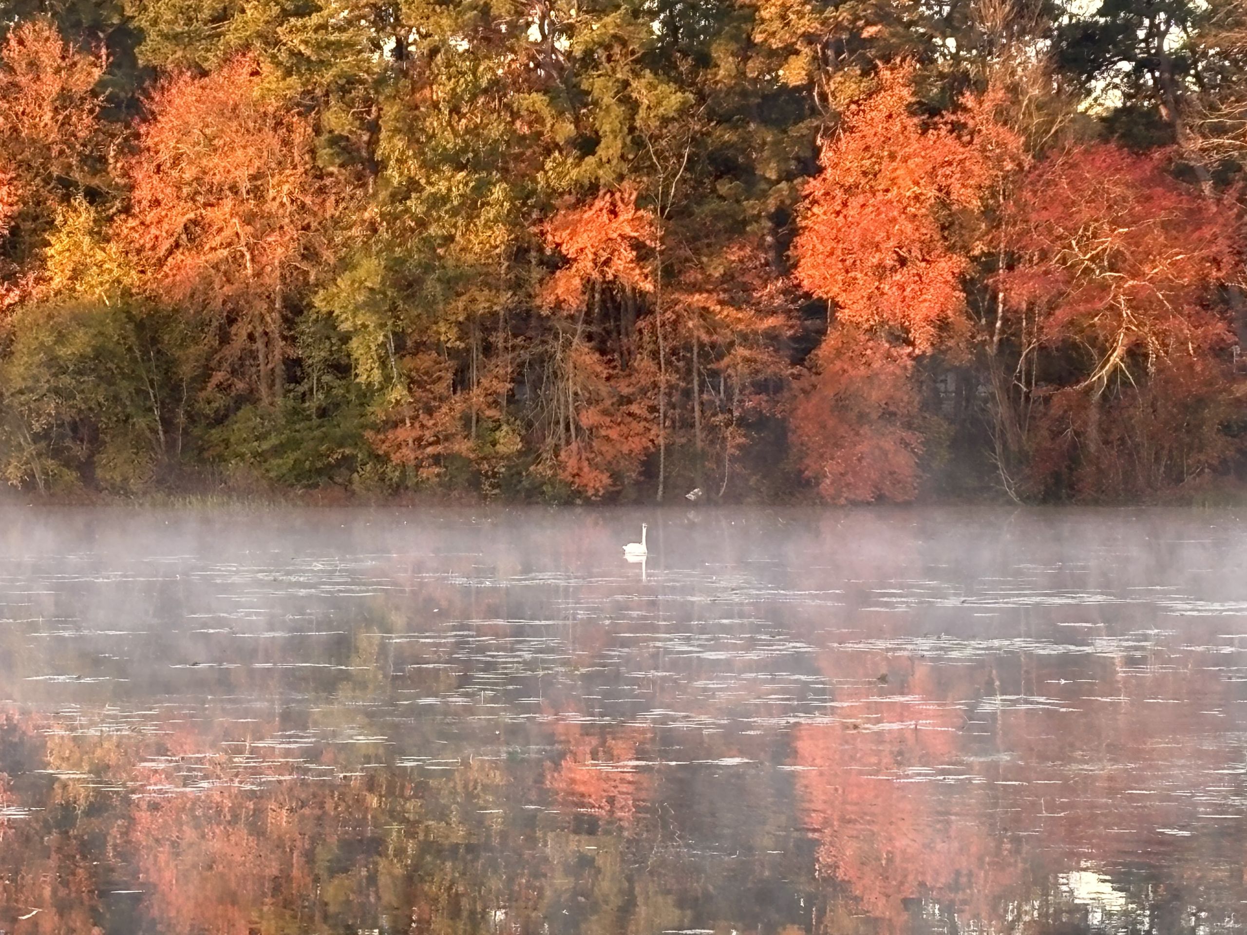 Sunrise on the middle lake